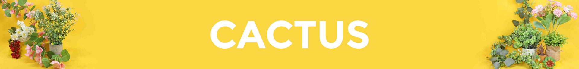 Cactus