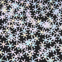 Art.10395 Lentejuela Copo de Nieve Extra 21mm 10g