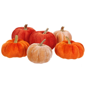 Art.11671 Set Calabazas Premium varios tamaños 6pz