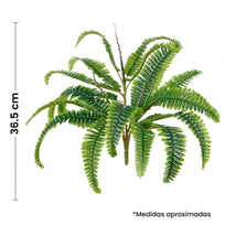Art.242 Helecho Grande x18 hojas 36.5cm 1pz