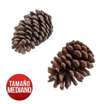 Art.6826 Bolsa Piñitas Naturales 10cm (Aprox) 2pz
