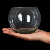 Art.8225 Pecera De Cristal 10x12cm (Aprox) 1pz