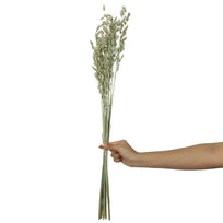 Art.9969 Ramo Avena 70cm 1pz