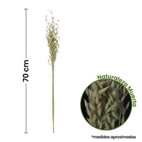 Art.9969 Ramo Avena 70cm 1pz