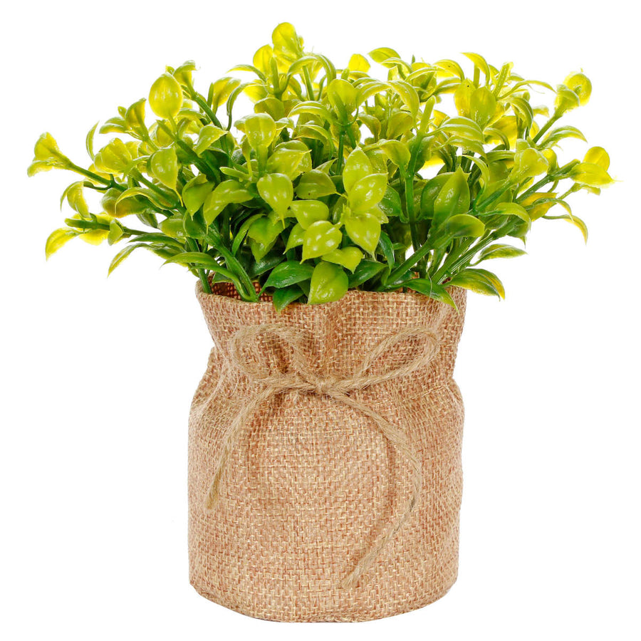Art.10539 Planta 17.5cm Base D/Yute