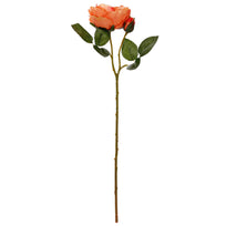 Art.1245 Vara Rosa Fina C/Boton 50cm
