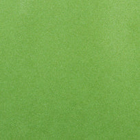 Art.1303 Hoja De Fomi Iris