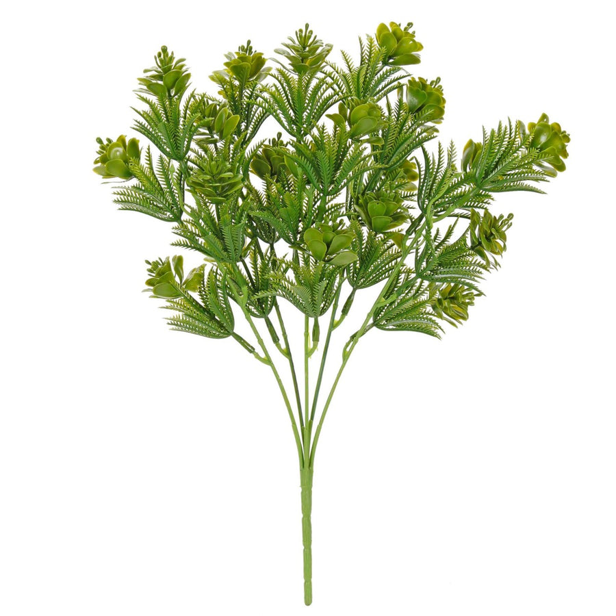 Art.2987 Planta Fina x5