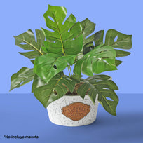 Art.3845 Planta Fina x9 32cm 1pz