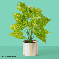 Art.3862 Planta Fina x18 59cm 1pz