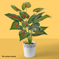 Art.3866 Planta Fina x18 60cm 1pz