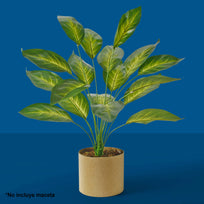 Art.3891 Planta Fina x18 60cm 1pz