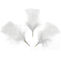 Art.4687 Pluma