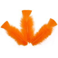 Art.4724 Pluma