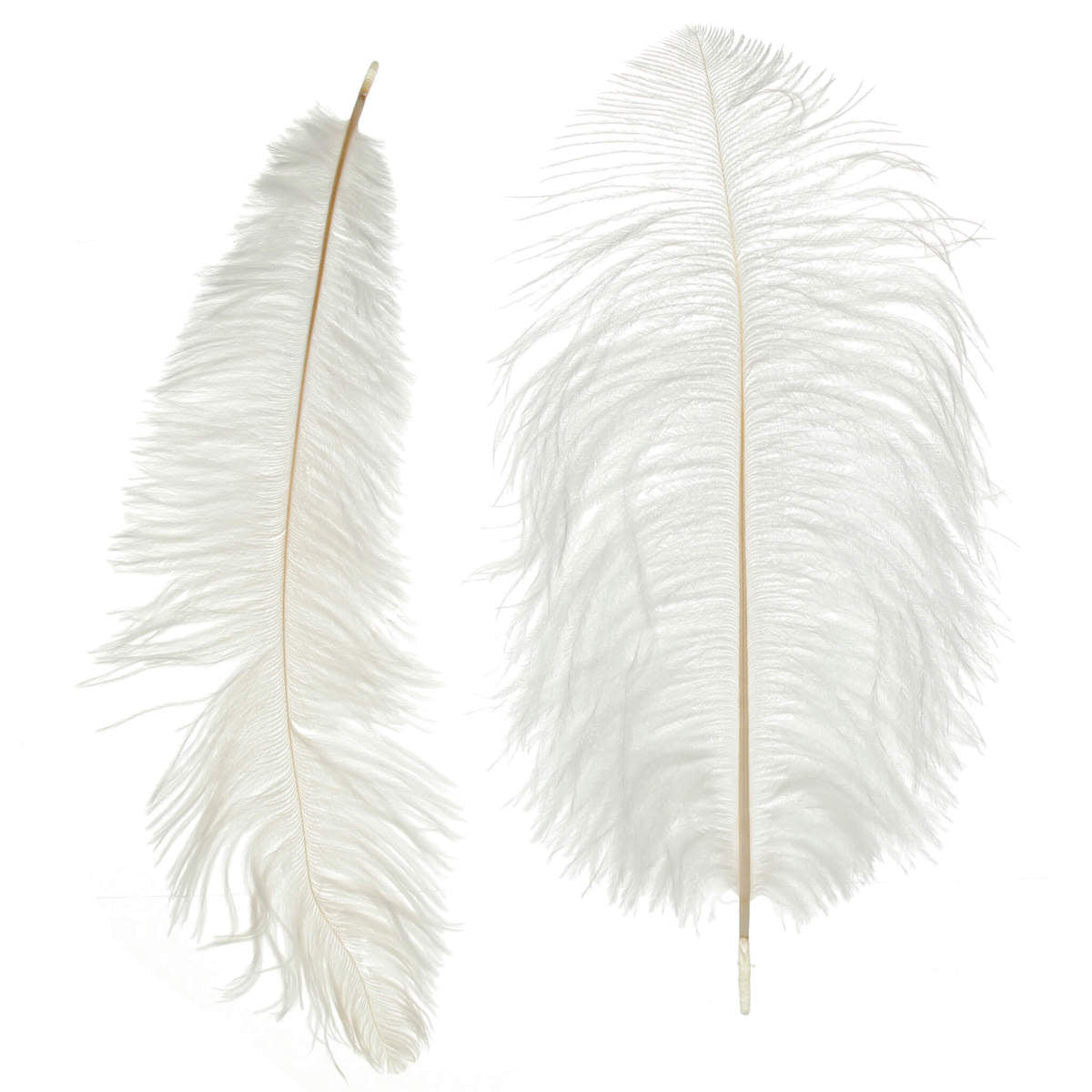 Plumas de Avestruz 25 – 29 blanco grande de primer grado ala plumas plumas  2 piezas
