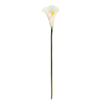 Art.6928 Flor Tallo Alcatraz