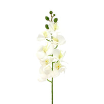 Art.6935 Flor Tallo Orquidea X1, 8 Flor