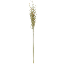Art.9969 Ramo Avena 70cm