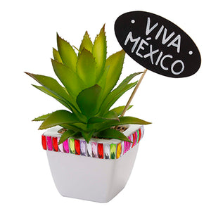 Maceta Con Cactus Viva México