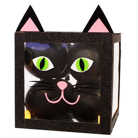 Cubo Con Globos Gato