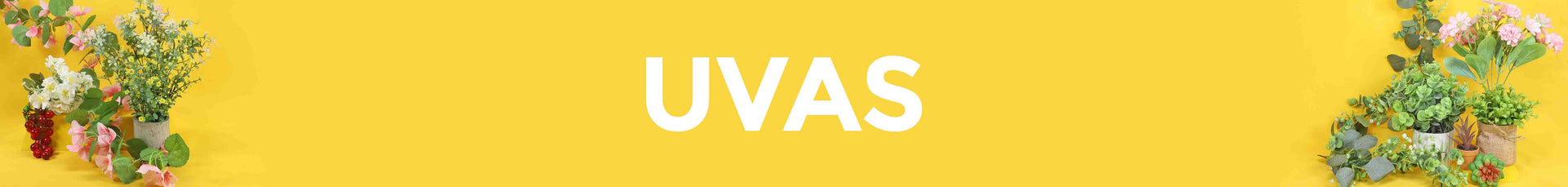 Uvas