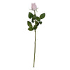 image variant Rosa