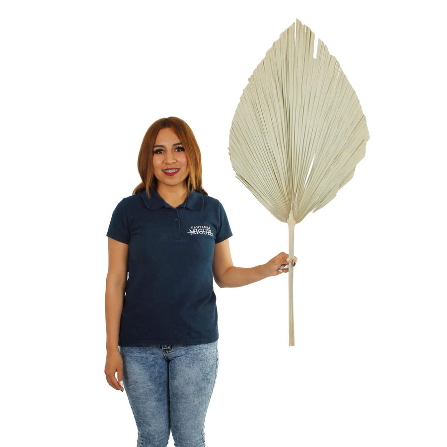 Art.10228 Hoja De Palma 1.10m   (Aprox) 1pz