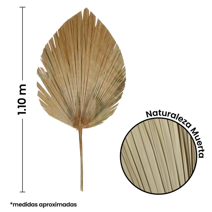 Art.10228 Hoja De Palma 1.10m   (Aprox) 1pz