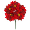 image variant Rojo