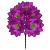 image variant Morado