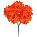 Fantasías Miguel