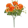 image variant Naranja