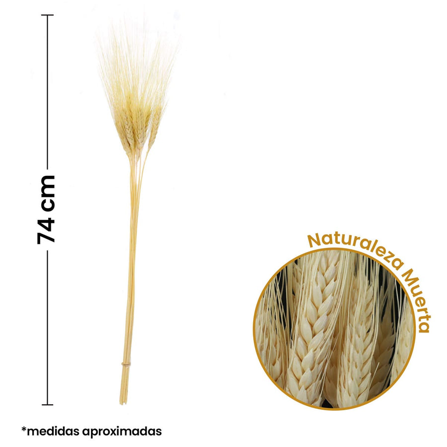 Art.1095 Espiga De Trigo 74cm 12pz