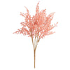 image variant Coral