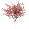 image variant Coral