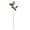 image variant Rosa