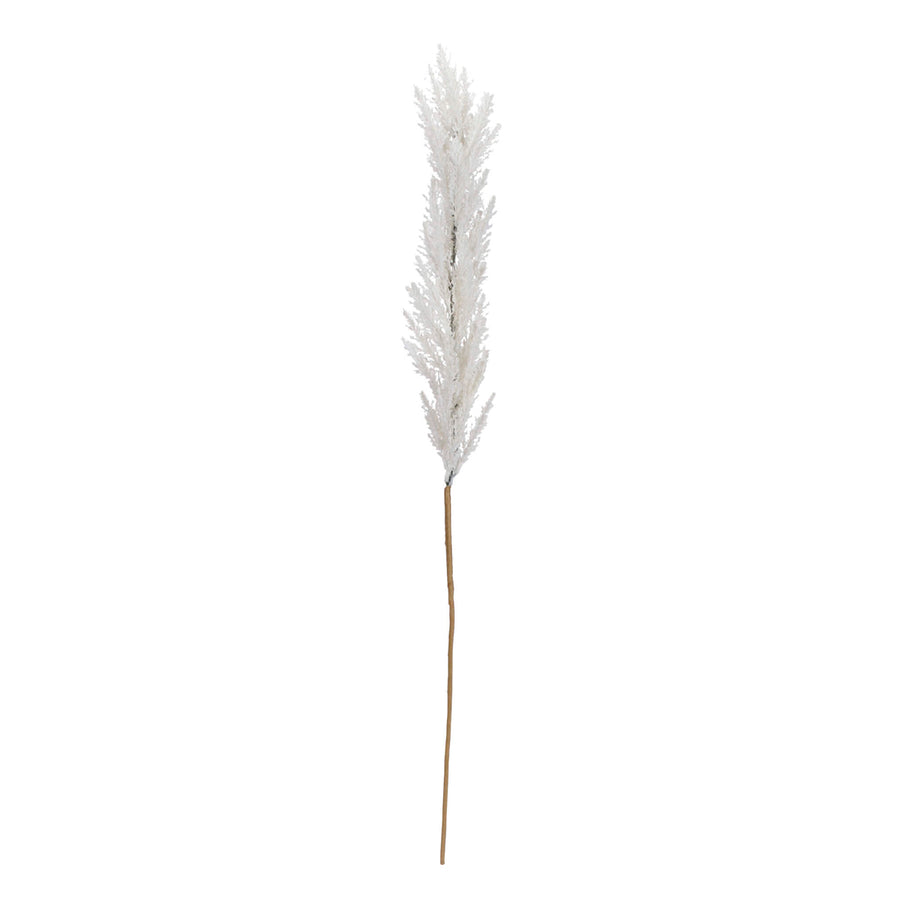Art.11531 Pampa x1 105cm 1pz