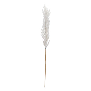 Art.11531 Pampa x1 105cm 1pz