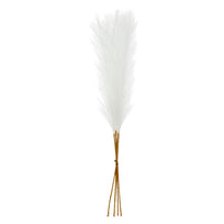Art.11542 Pampa Plástica x5 55cm 1pz