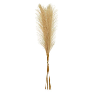 Art.11542 Pampa Plástica x5 55cm 1pz