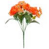 image variant Naranja
