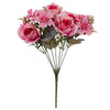 image variant Rosa