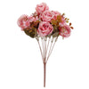 image variant Rosa