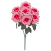 image variant Rosa