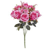 image variant Rosa