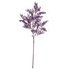 image variant Morado