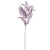image variant Morado