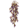 image variant Morado