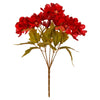 image variant Rojo
