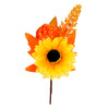image variant Naranja